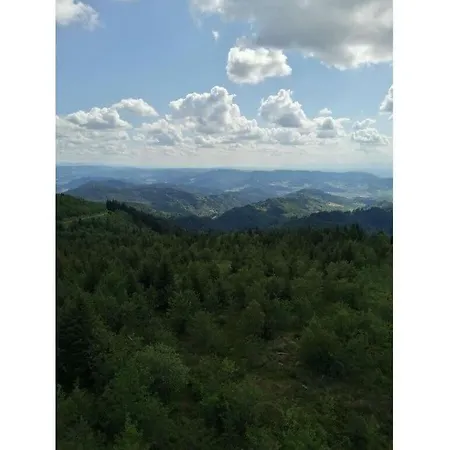 아파트 Lovely In Baden-wuerttemberg *