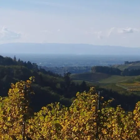 Lovely In Baden-wuerttemberg * 오버키르히