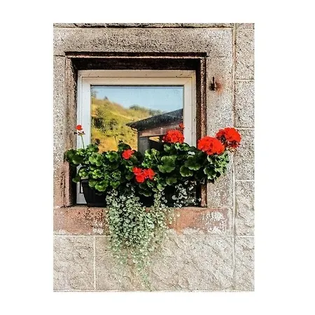 Lovely In Baden-wuerttemberg 아파트 오버키르히