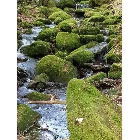 아파트 Lovely In Baden-wuerttemberg